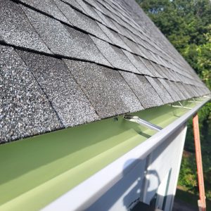 gutter and siding instalation (109)